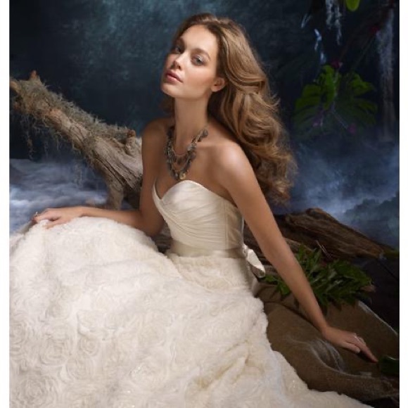 Stunning wedding gowns from Tara Keely Spring 2011 bridal sweetheart, taffeta - Picture 3 of 16